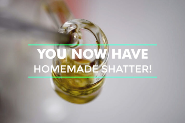 Read more about the article Tutorial: How to make Cannabis Shatter: EASY step-by-step guide (Video)